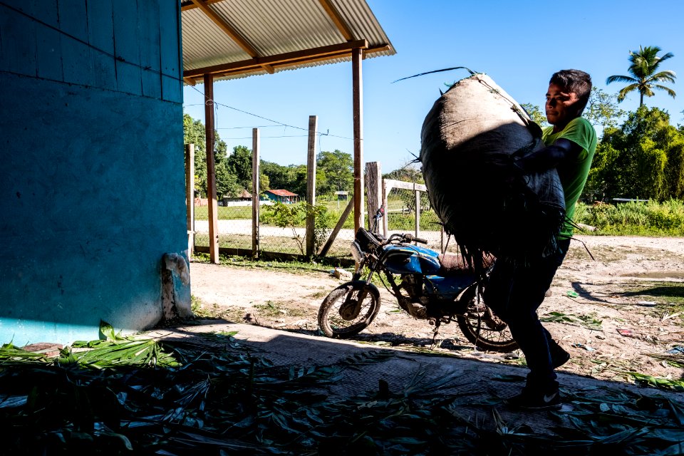 USAID Measuring Impact Conservation Enterprise Retrospective (Guatemala; Rainforest Alliance) (40304813811)