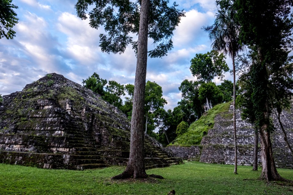USAID Measuring Impact Conservation Enterprise Retrospective (Guatemala; Rainforest Alliance) (40304574101)