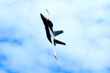 US Navy 110905-N-UO379-732 An F-A-18F Super Hornet makes a high speed pass over USS Ronald Reagan (CVN 76) during a tiger cruise