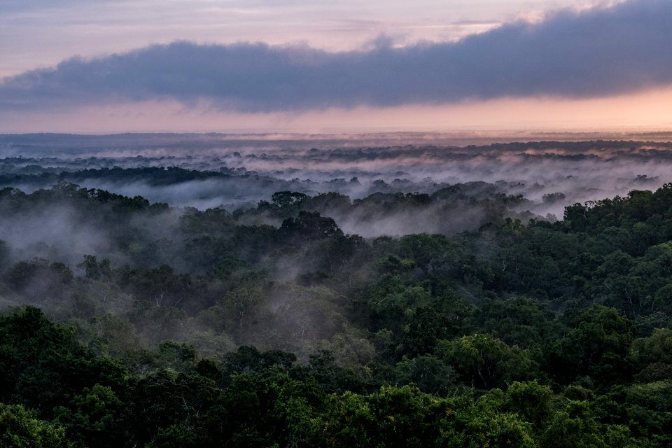 USAID Measuring Impact Conservation Enterprise Retrospective (Guatemala; Rainforest Alliance) (40304342921)