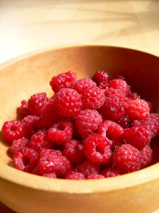 Berry forest red