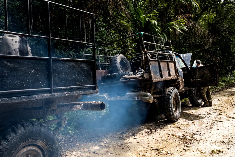 USAID Measuring Impact Conservation Enterprise Retrospective (Guatemala; Rainforest Alliance) (40304407021)