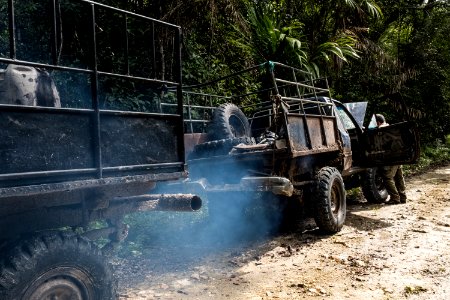 USAID Measuring Impact Conservation Enterprise Retrospective (Guatemala; Rainforest Alliance) (40304407021)