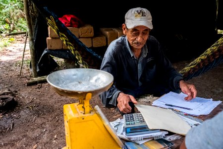 USAID Measuring Impact Conservation Enterprise Retrospective (Guatemala; Rainforest Alliance) (40304397701)