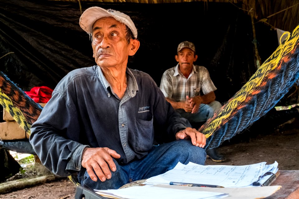 USAID Measuring Impact Conservation Enterprise Retrospective (Guatemala; Rainforest Alliance) (40304390991)
