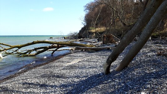 Moen wood beach