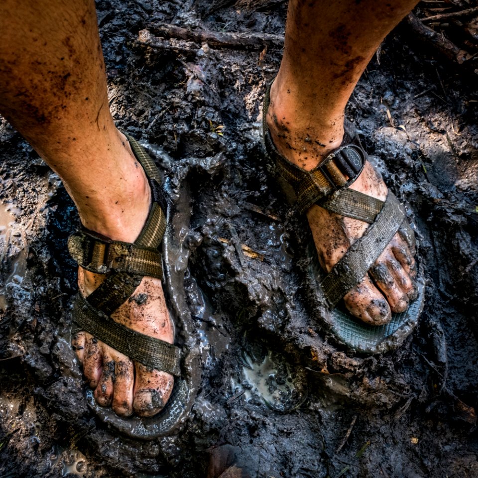 USAID Measuring Impact Conservation Enterprise Retrospective (Guatemala; Rainforest Alliance) (40259264212)