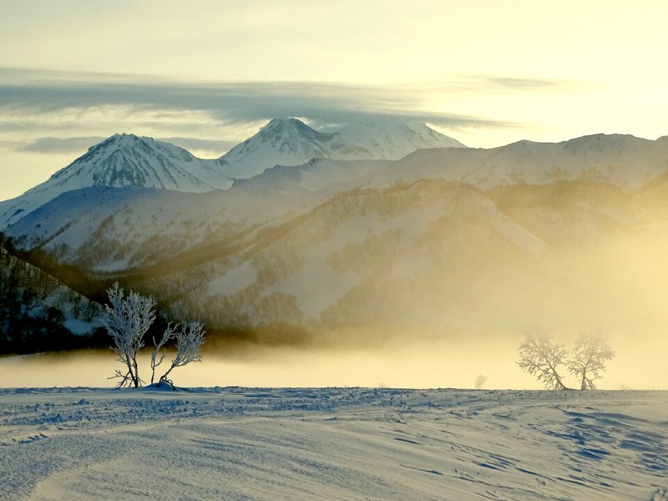 Frost winter spring