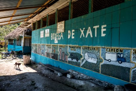USAID Measuring Impact Conservation Enterprise Retrospective (Guatemala; Rainforest Alliance) (40259639712)