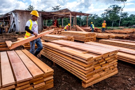 USAID Measuring Impact Conservation Enterprise Retrospective (Guatemala; Rainforest Alliance) (40259363052)
