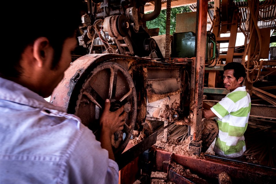 USAID Measuring Impact Conservation Enterprise Retrospective (Guatemala; Rainforest Alliance) (39593103364)
