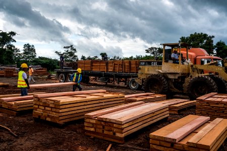 USAID Measuring Impact Conservation Enterprise Retrospective (Guatemala; Rainforest Alliance) (40259354632)