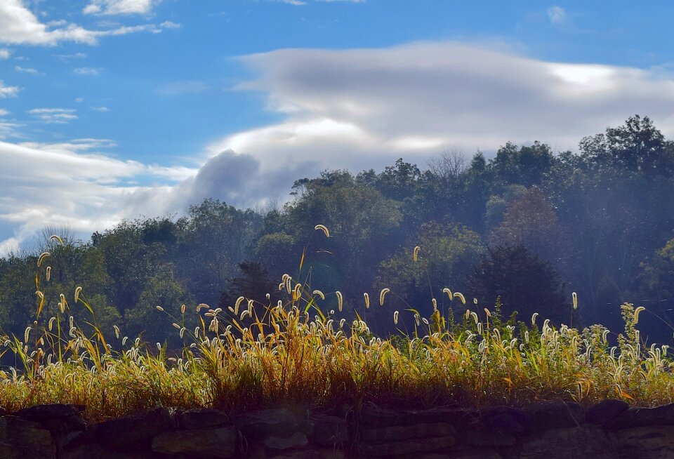 Stone wall summer