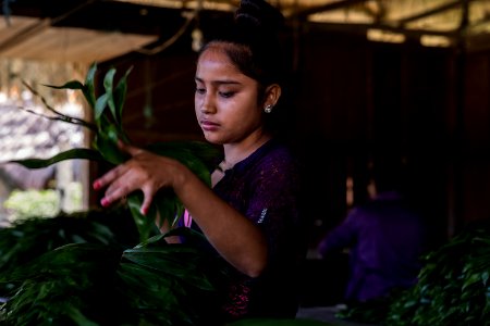 USAID Measuring Impact Conservation Enterprise Retrospective (Guatemala; Rainforest Alliance) (39407403495)