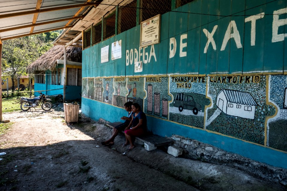 USAID Measuring Impact Conservation Enterprise Retrospective (Guatemala; Rainforest Alliance) (39407419035)