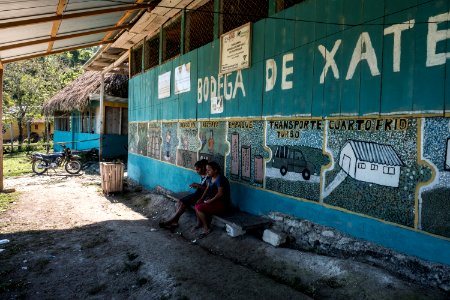 USAID Measuring Impact Conservation Enterprise Retrospective (Guatemala; Rainforest Alliance) (39407419035)