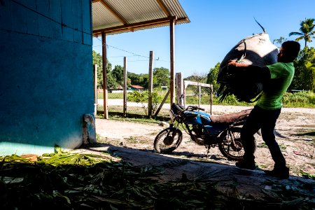 USAID Measuring Impact Conservation Enterprise Retrospective (Guatemala; Rainforest Alliance) (39407438075)