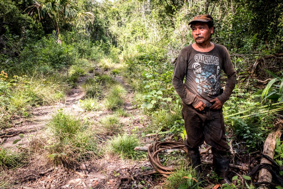 USAID Measuring Impact Conservation Enterprise Retrospective (Guatemala; Rainforest Alliance) (39592663504)