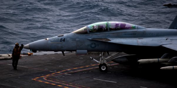 US Navy 110921-N-TU221-207 An aircraft director leans against an F-A-18F Super Hornet assigned to the Bounty Hunters of Strike Fighter Squadron (VF