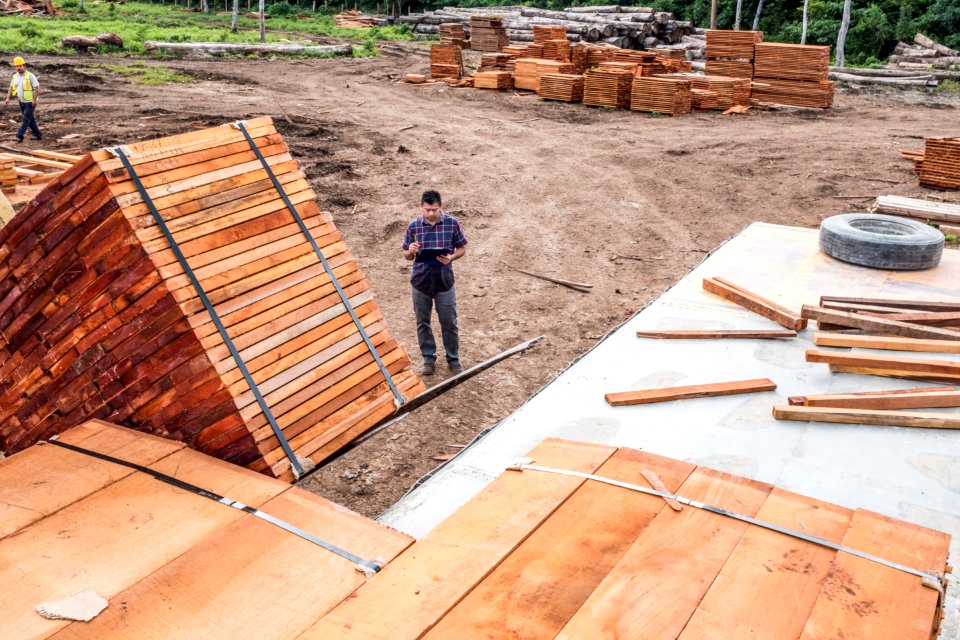 USAID Measuring Impact Conservation Enterprise Retrospective (Guatemala; Rainforest Alliance) (39407106465)