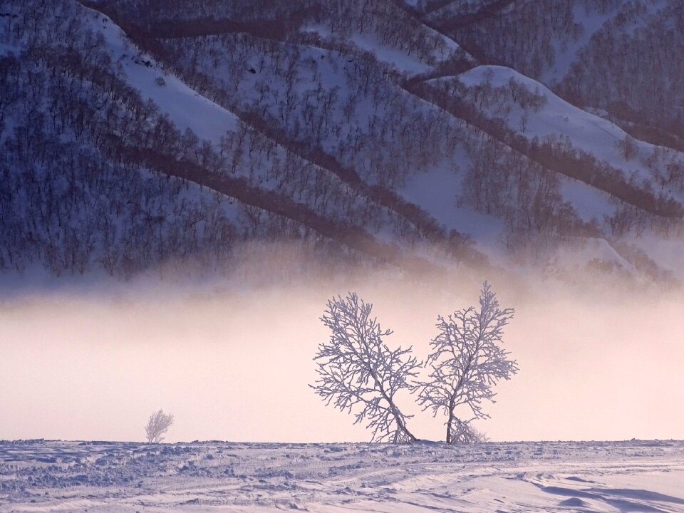 Frost winter spring