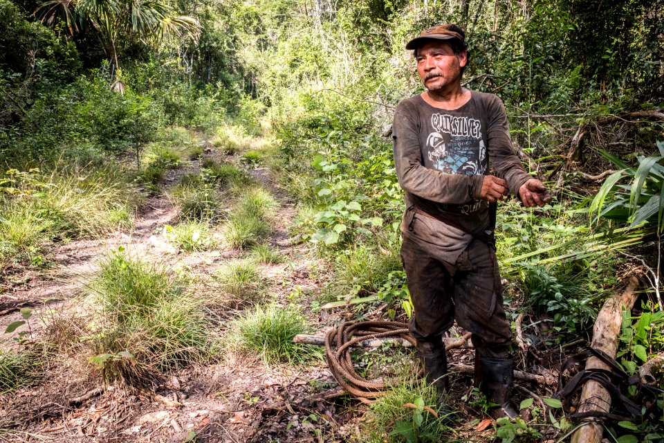 USAID Measuring Impact Conservation Enterprise Retrospective (Guatemala; Rainforest Alliance) (39592656644)