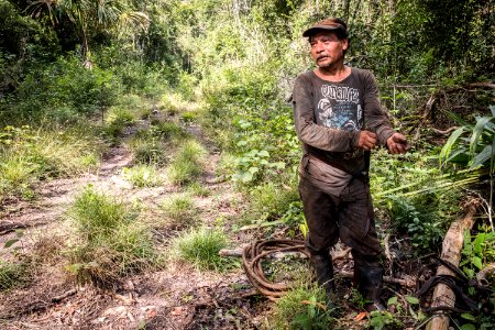 USAID Measuring Impact Conservation Enterprise Retrospective (Guatemala; Rainforest Alliance) (39592656644)