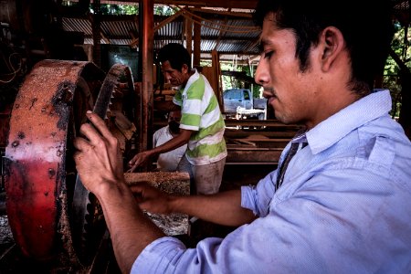 USAID Measuring Impact Conservation Enterprise Retrospective (Guatemala; Rainforest Alliance) (39407371645)