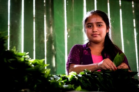 USAID Measuring Impact Conservation Enterprise Retrospective (Guatemala; Rainforest Alliance) (38495296160)