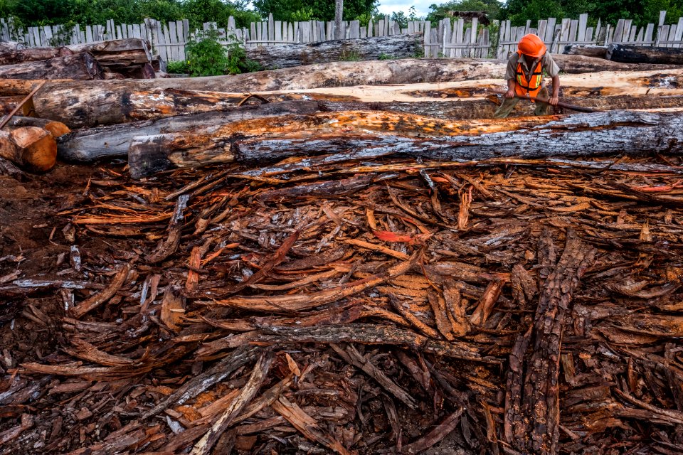 USAID Measuring Impact Conservation Enterprise Retrospective (Guatemala; Rainforest Alliance) (39407100665)