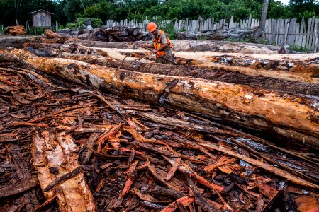 USAID Measuring Impact Conservation Enterprise Retrospective (Guatemala; Rainforest Alliance) (39407080215)