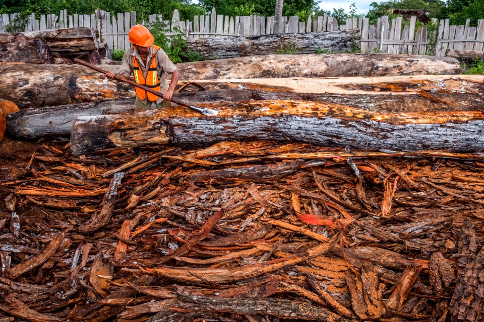 USAID Measuring Impact Conservation Enterprise Retrospective (Guatemala; Rainforest Alliance) (39407103735)