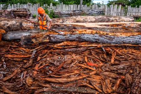 USAID Measuring Impact Conservation Enterprise Retrospective (Guatemala; Rainforest Alliance) (39407103735)