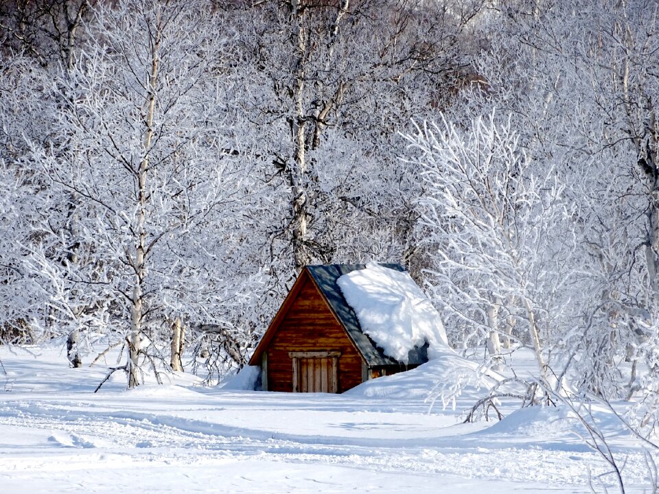Cottage spring cold