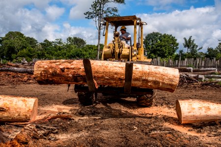 USAID Measuring Impact Conservation Enterprise Retrospective (Guatemala; Rainforest Alliance) (39407121755)