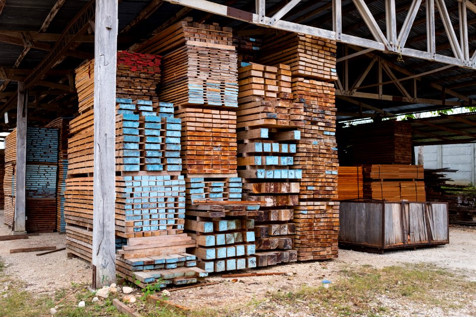 USAID Measuring Impact Conservation Enterprise Retrospective (Guatemala; Rainforest Alliance) (38495166420)