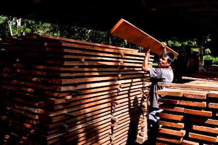 USAID Measuring Impact Conservation Enterprise Retrospective (Guatemala; Rainforest Alliance) (26432261878)
