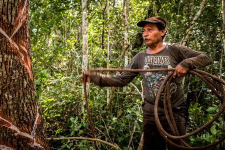 USAID Measuring Impact Conservation Enterprise Retrospective (Guatemala; Rainforest Alliance) (38494976530)
