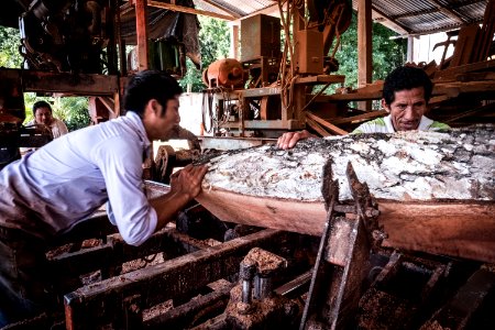 USAID Measuring Impact Conservation Enterprise Retrospective (Guatemala; Rainforest Alliance) (25433713807)