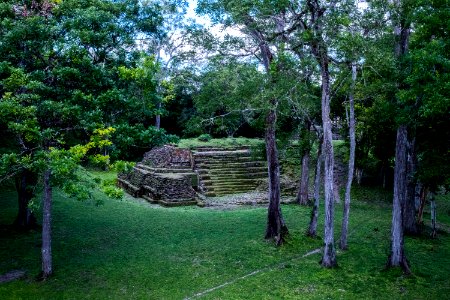 USAID Measuring Impact Conservation Enterprise Retrospective (Guatemala; Rainforest Alliance) (25433635417)