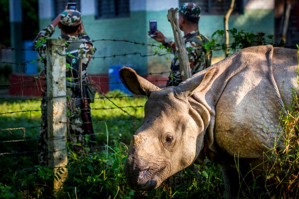 USAID Measuring Impact Conservation Enterprise Retrospective (40256484132)