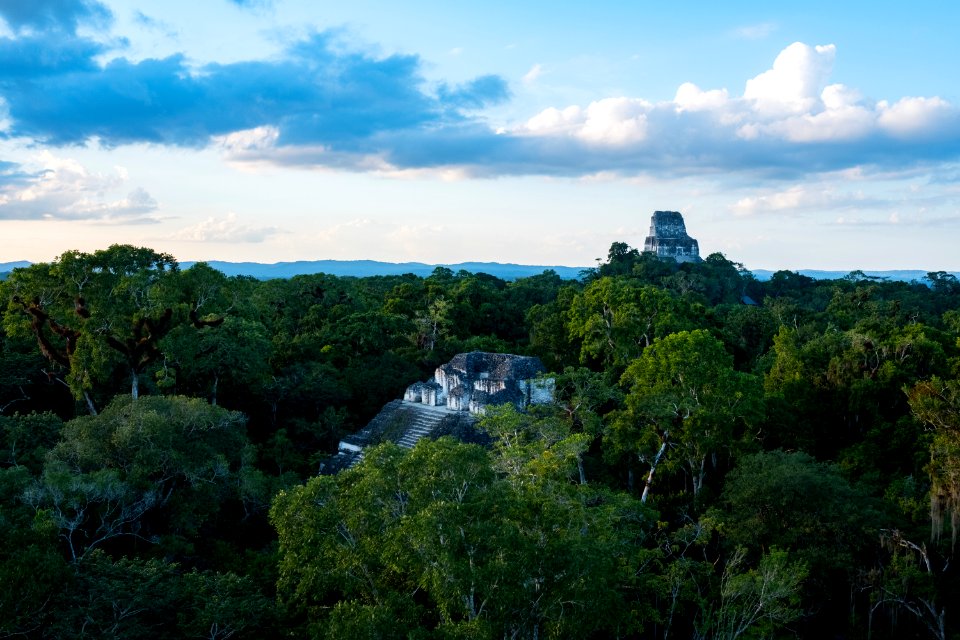 USAID Measuring Impact Conservation Enterprise Retrospective (Guatemala; Rainforest Alliance) (38494910020)