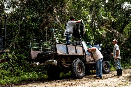 USAID Measuring Impact Conservation Enterprise Retrospective (Guatemala; Rainforest Alliance) (26431947128)