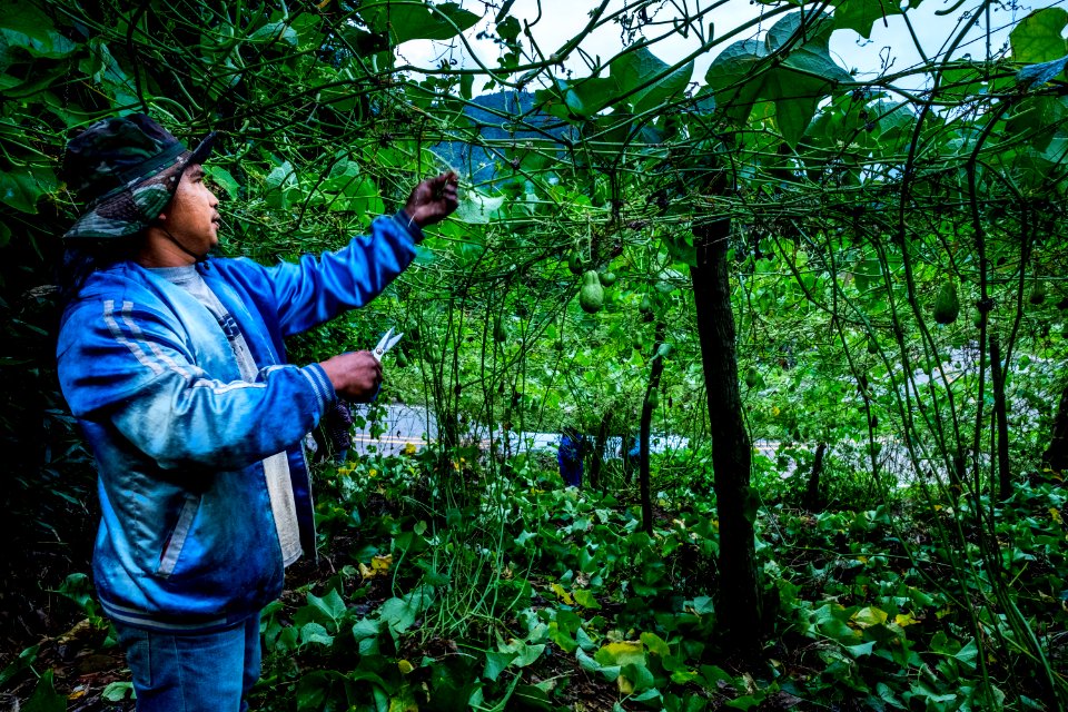 USAID Measuring Impact Conservation Enterprise Retrospective (38482477290)