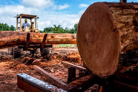 USAID Measuring Impact Conservation Enterprise Retrospective (Guatemala; Rainforest Alliance) (25433453187)