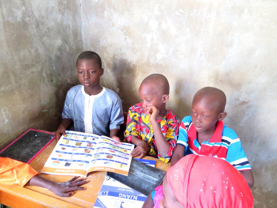 USAID in Senegal Lecture pour Tous Reading Programme (40535888481)