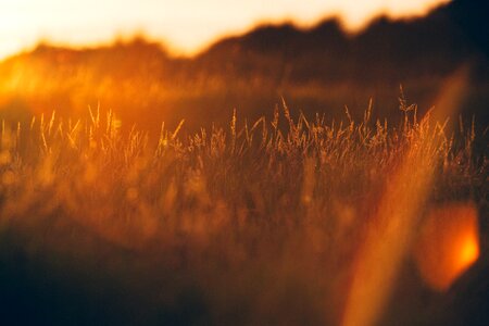 Sunset sunrise sunlight