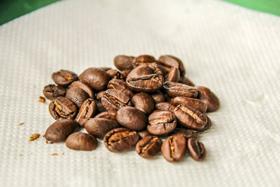 Coffee nature photography