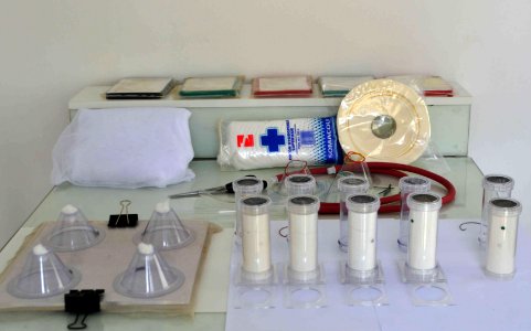 USAID in Madagascar A New Insectarium Donated by USAID and the President’s Malaria Initiative Improve Malaria Research and Protection in Madagascar (30996683633)