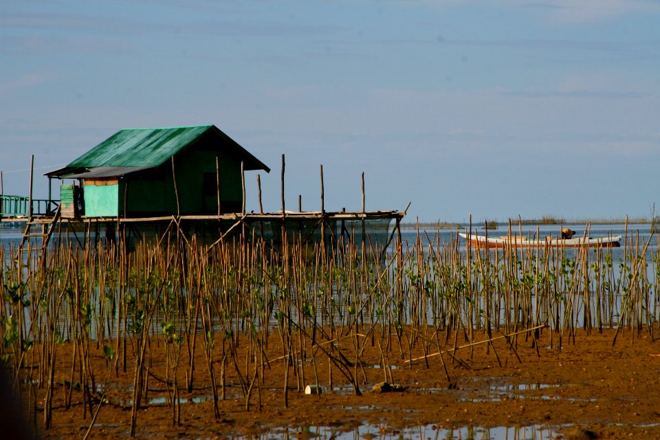 USAID Helps Combat Climate Change in Kendari (14124670792)